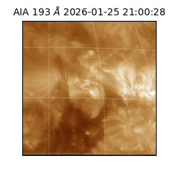 saia - 2026-01-25T21:00:28.843000