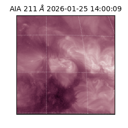 saia - 2026-01-25T14:00:09.632000