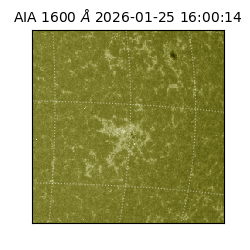 saia - 2026-01-25T16:00:14.132000