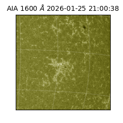 saia - 2026-01-25T21:00:38.126000