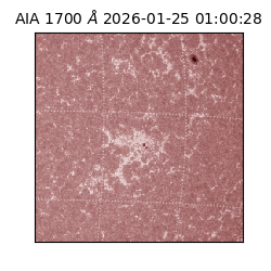 saia - 2026-01-25T01:00:28.717000