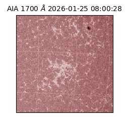 saia - 2026-01-25T08:00:28.717000