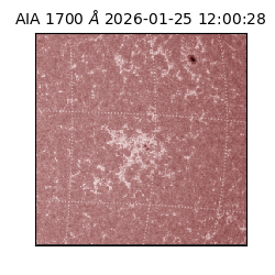 saia - 2026-01-25T12:00:28.730000