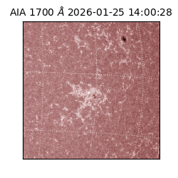 saia - 2026-01-25T14:00:28.722000