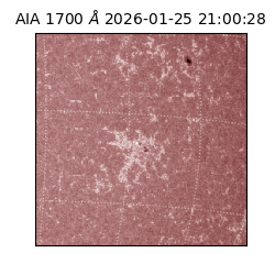 saia - 2026-01-25T21:00:28.718000