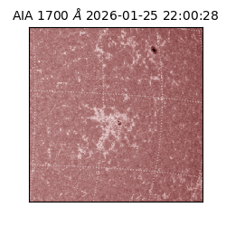saia - 2026-01-25T22:00:28.713000