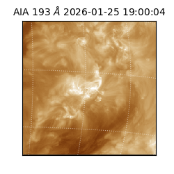 saia - 2026-01-25T19:00:04.846000