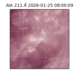 saia - 2026-01-25T08:00:09.625000