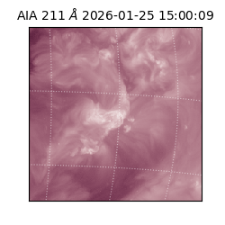 saia - 2026-01-25T15:00:09.623000