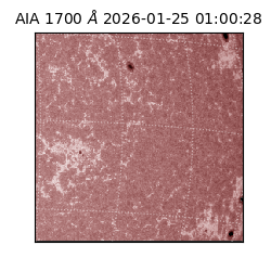 saia - 2026-01-25T01:00:28.717000