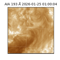 saia - 2026-01-25T01:00:04.843000