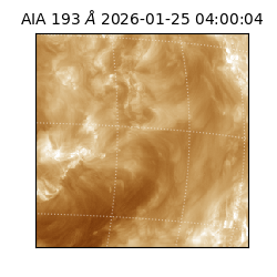 saia - 2026-01-25T04:00:04.843000