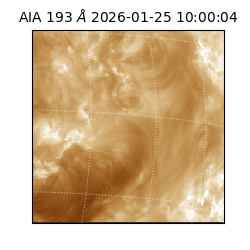 saia - 2026-01-25T10:00:04.843000