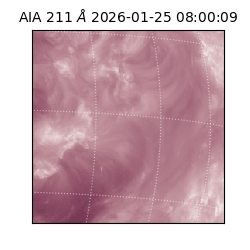 saia - 2026-01-25T08:00:09.625000