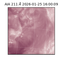 saia - 2026-01-25T16:00:09.630000