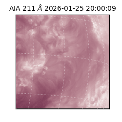 saia - 2026-01-25T20:00:09.632000