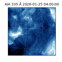 saia - 2026-01-25T04:00:00.625000