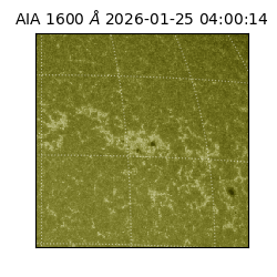 saia - 2026-01-25T04:00:14.125000
