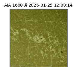 saia - 2026-01-25T12:00:14.118000