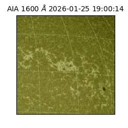 saia - 2026-01-25T19:00:14.126000
