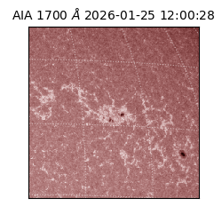saia - 2026-01-25T12:00:28.730000