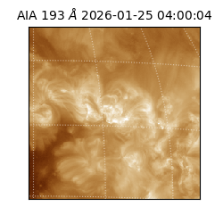 saia - 2026-01-25T04:00:04.843000