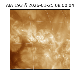saia - 2026-01-25T08:00:04.843000