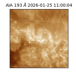saia - 2026-01-25T11:00:04.842000
