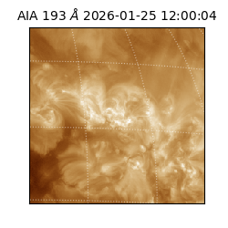 saia - 2026-01-25T12:00:04.838000