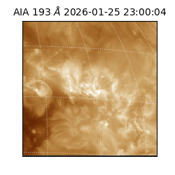 saia - 2026-01-25T23:00:04.846000