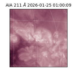 saia - 2026-01-25T01:00:09.626000