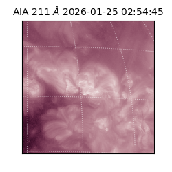 saia - 2026-01-25T02:54:45.626000