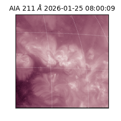 saia - 2026-01-25T08:00:09.625000