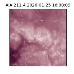 saia - 2026-01-25T16:00:09.630000