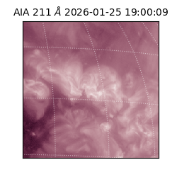 saia - 2026-01-25T19:00:09.634000