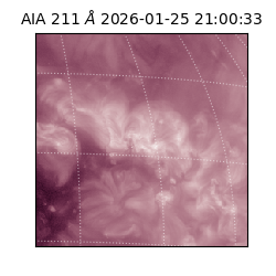 saia - 2026-01-25T21:00:33.626000