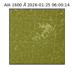 saia - 2026-01-25T06:00:14.132000