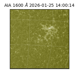 saia - 2026-01-25T14:00:14.126000