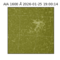 saia - 2026-01-25T19:00:14.126000