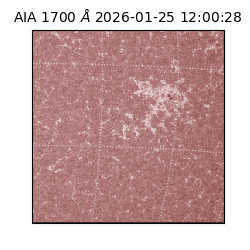 saia - 2026-01-25T12:00:28.730000