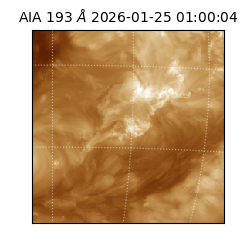 saia - 2026-01-25T01:00:04.843000