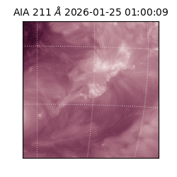 saia - 2026-01-25T01:00:09.626000