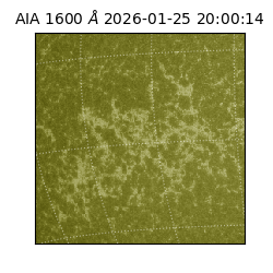 saia - 2026-01-25T20:00:14.126000