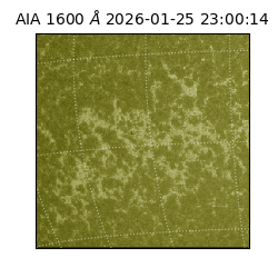 saia - 2026-01-25T23:00:14.129000