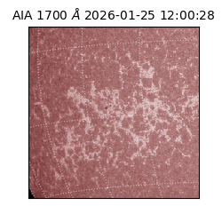 saia - 2026-01-25T12:00:28.730000