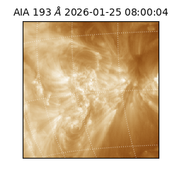 saia - 2026-01-25T08:00:04.843000
