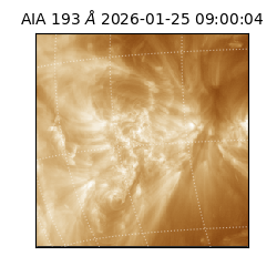 saia - 2026-01-25T09:00:04.843000