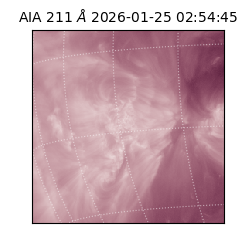saia - 2026-01-25T02:54:45.626000