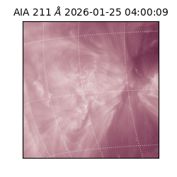 saia - 2026-01-25T04:00:09.626000