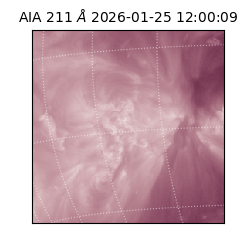 saia - 2026-01-25T12:00:09.625000
